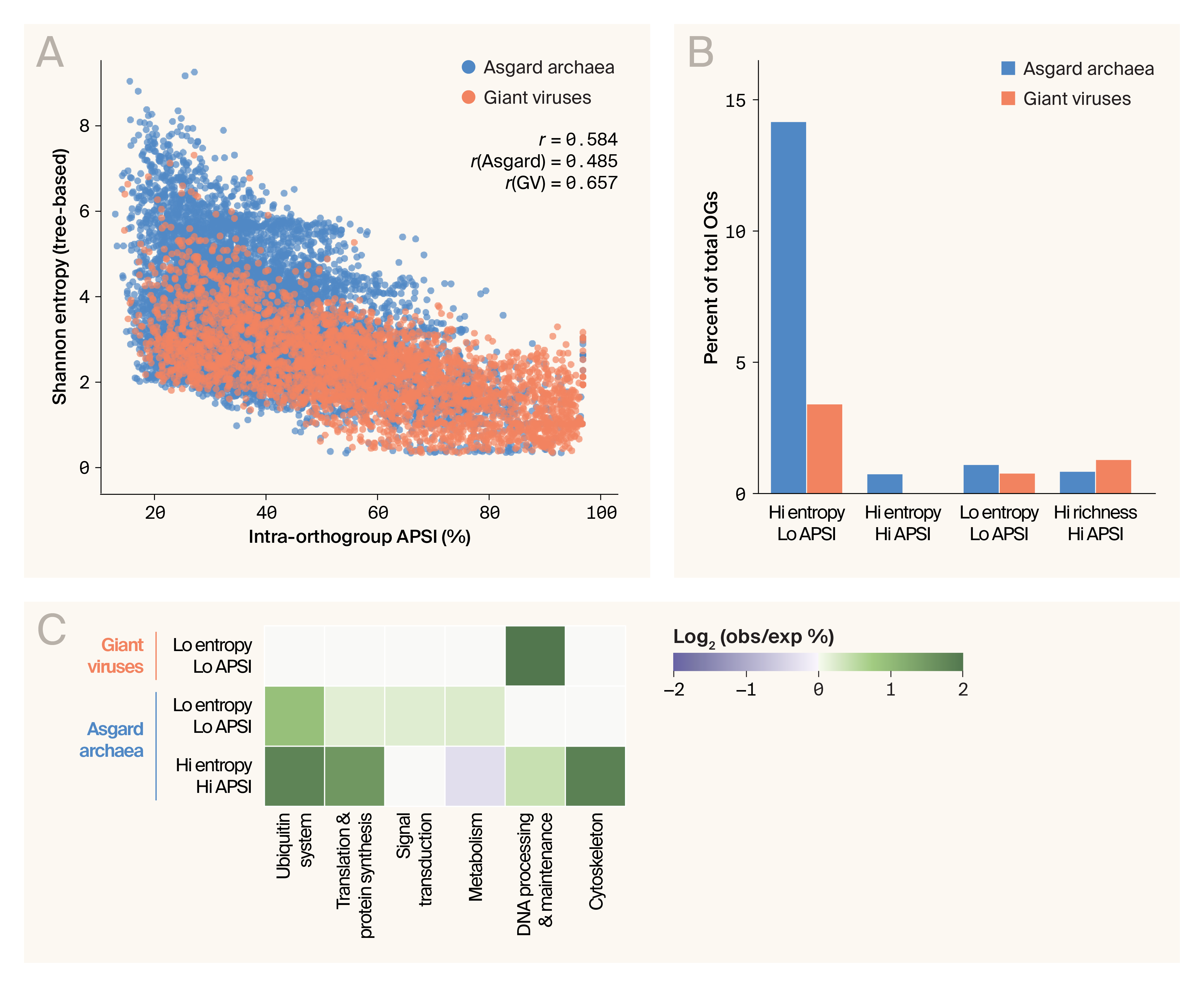 Plots of Shannon entropy, tree richness, and average pairwise sequence identity within orthogroups, where there’s a negative correlation between entropy and APSI; a small percentage of orthogroups break this correlation; and most functional categories are probably under purifying selection, but metabolic proteins have more space to diverge